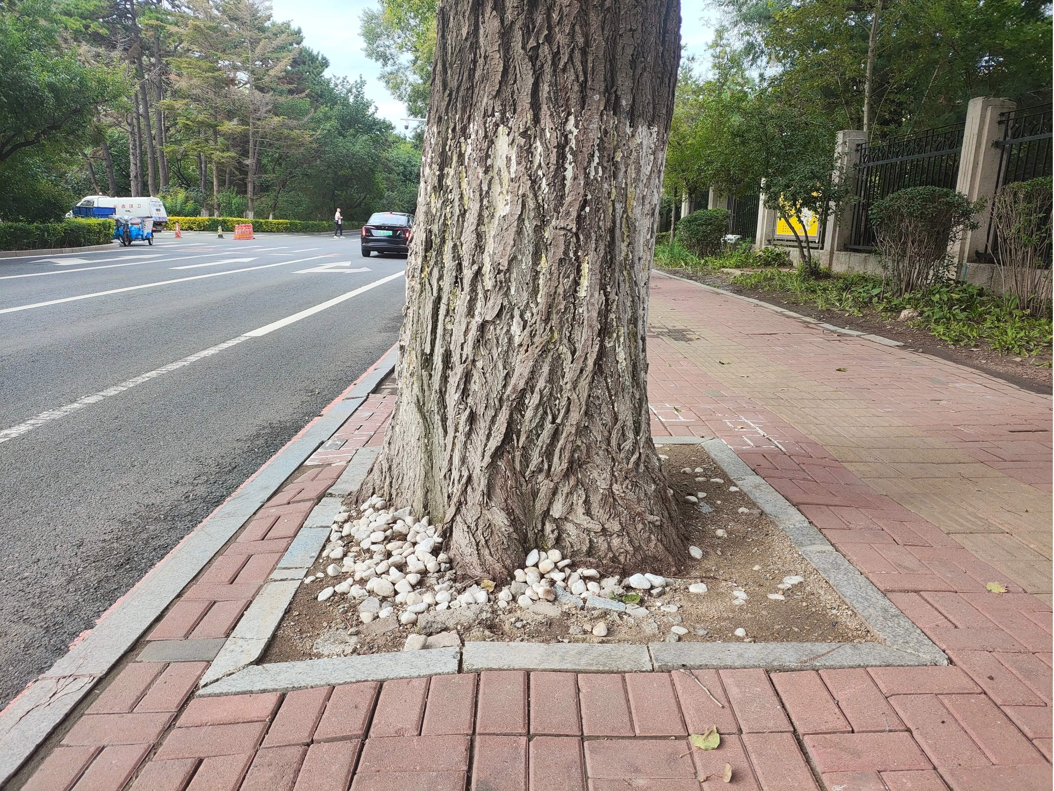 稿定設計-5