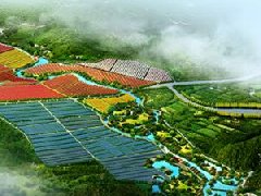 鄭州市工信局：積極構(gòu)建管城區(qū)、經(jīng)開區(qū)、中牟縣“兩區(qū)一縣”氫燃料電池汽車