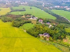 智慧園區(qū)規(guī)劃 | 產(chǎn)業(yè)園區(qū)該如何應(yīng)對(duì)突發(fā)公共事件？
