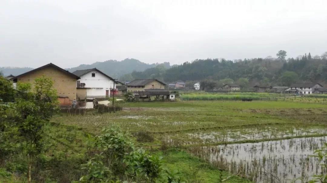 農(nóng)村土地確權(quán)結(jié)束，沒登記的四荒地如何處理？