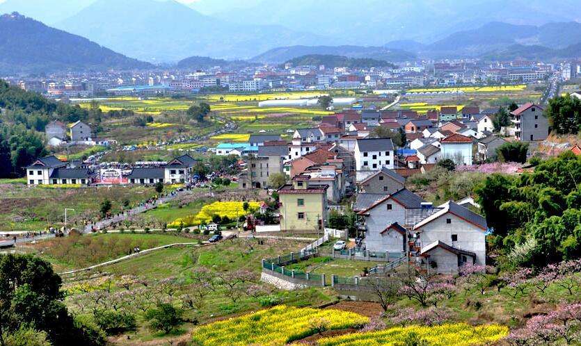 陳文勝：鄉(xiāng)村振興的資本、土地與制度邏輯