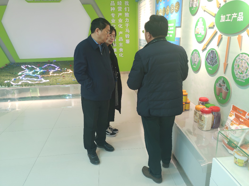 “中國薯都”再奏新旋律，定西市安定區(qū)開啟馬鈴薯產(chǎn)業(yè)發(fā)展新篇章