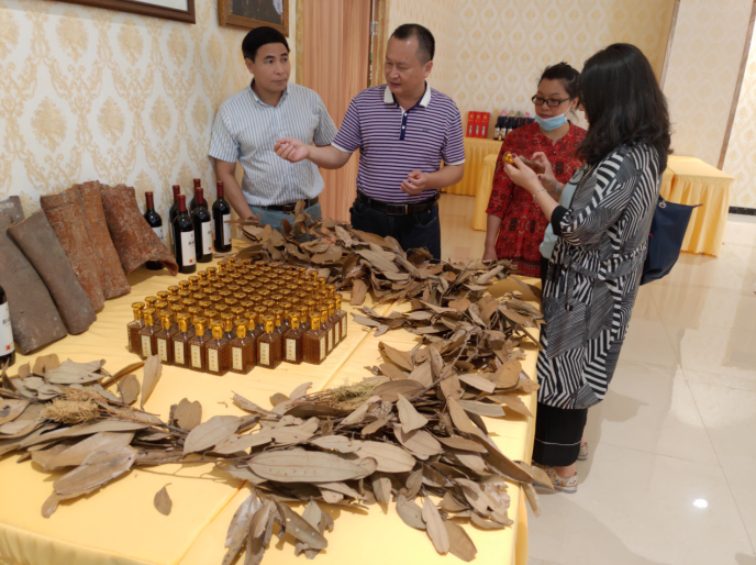 龔州大地，龍眼飄香-平南現(xiàn)代農(nóng)業(yè)正釋放科技創(chuàng)新活力