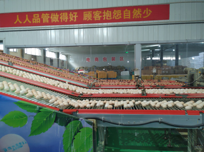 后稷故里，板棗之鄉(xiāng)——山西省稷山縣大力爭(zhēng)創(chuàng)國(guó)家現(xiàn)代農(nóng)業(yè)產(chǎn)業(yè)園